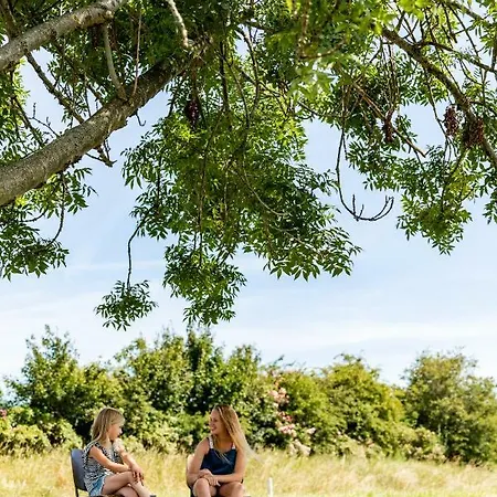 Tatil parkı Topparken - Parc Ijsselhoeve